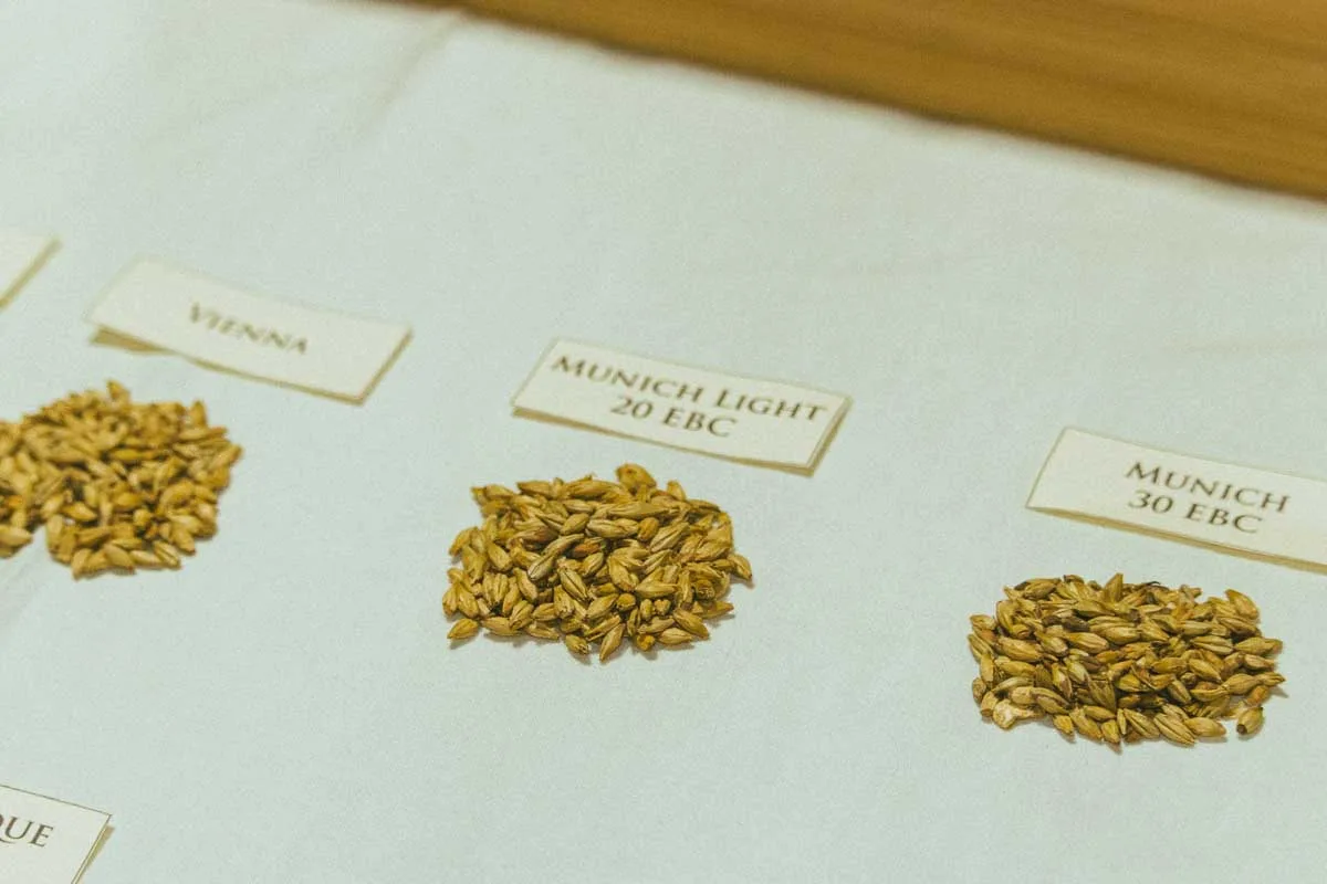 Grains de malt Vienna et Munich — A Vos Malts