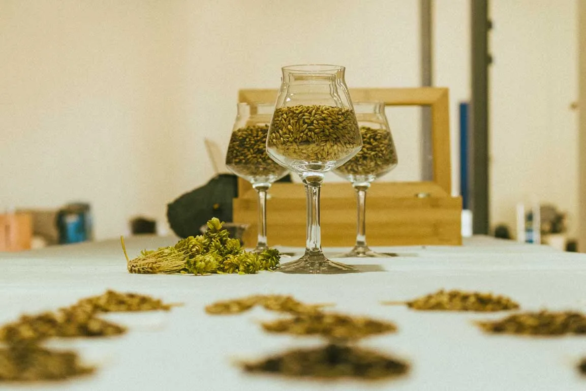 Verres de dégustation et houblon — A Vos Malts